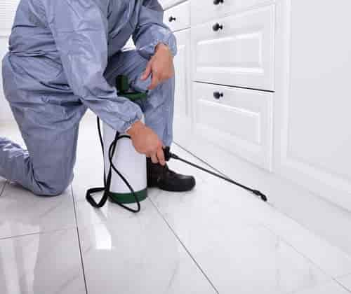 pest control perth