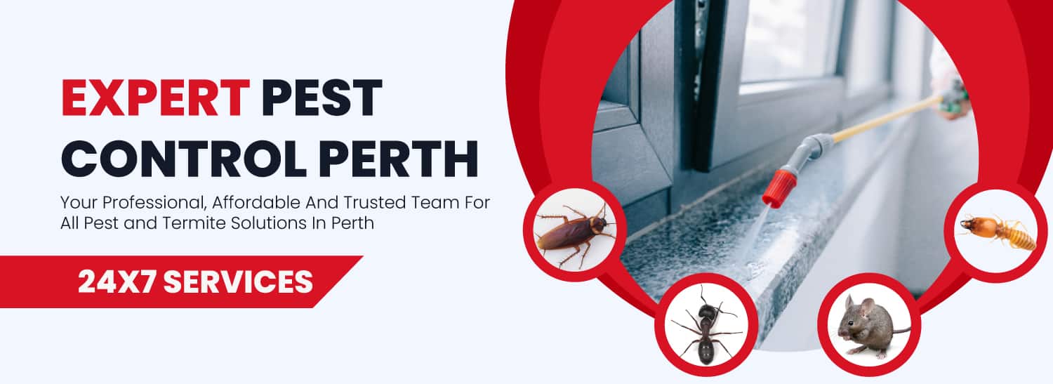 pest control perth