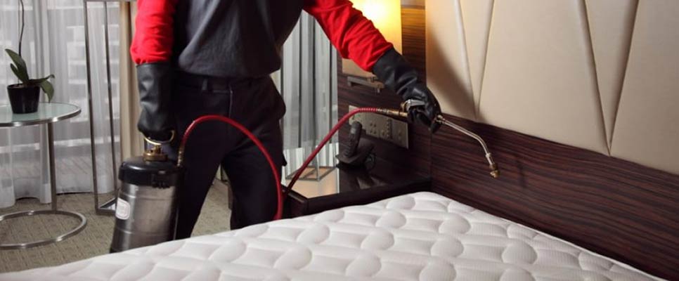 Bed Bug Heat Treatment Work
