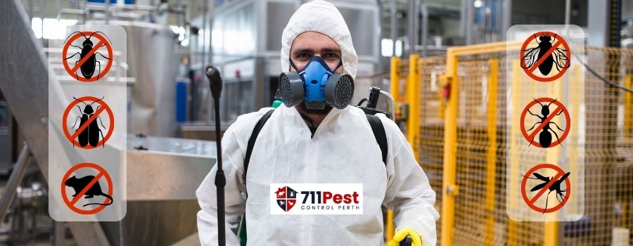 Pest Control Rockingham