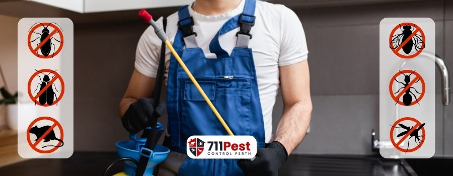 Pest Control Balcatta