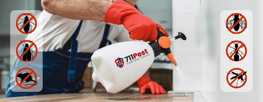 Pest Control Ballajura