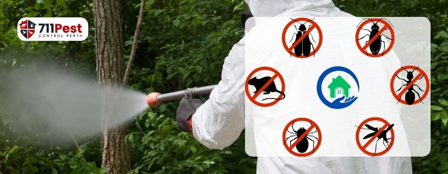 Pest Control Swanbourne